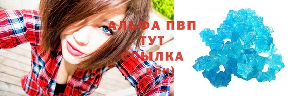прущие крисы Пестово