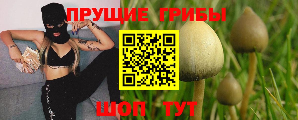 Галлюциногенные грибы MAGIC MUSHROOMS  Великий Устюг 