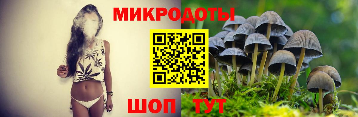 Псилоцибиновые грибы Psilocybine cubensis Великий Устюг